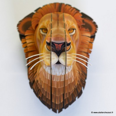 lion_carton_M_deco_detail.jpg