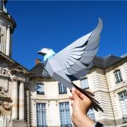 Kit de pliage Prédécoupé Oiseau Pigeon Gris Agent Paper