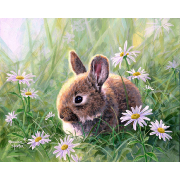 Peinture par numéros Lapin et Marguerites Tableau 40x50 Figure d'Art