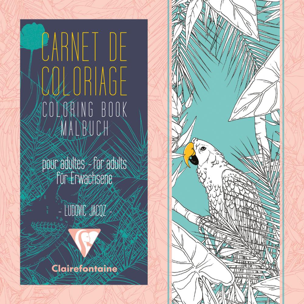 Livre De Coloriage Oiseaux Eagle Vector Illustration Pour