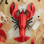 Kit de fabrication 1 Homard Rouge Géant 25 cm Lobster Assembli