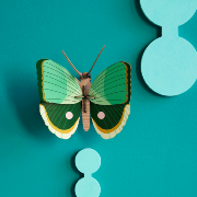 Insecte Papillon Vert Fern Striped en carton 16 cm Décoration 3D Studioroof