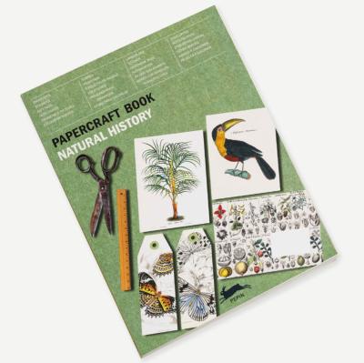 Livre de Créations en Papier Histoire Naturelle 60 feuilles Papercraft Books Pepin Press