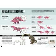 Dinosaure Tricératops en carton à construire 26cm Maquette 3D et Livre Sassi Junior