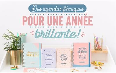 Agenda 2017-2018 Mr Wonderful pour une anne russie !