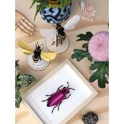 Kit de fabrication 1 Insecte Scarabée Rose 10 cm Jewel Beetle Assembli