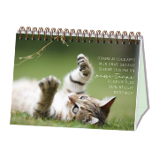 Livre cadeau 52 messages Chats Petits Félins Livre Chevalet 16 x 13 cm Art Grafik