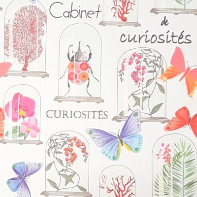Papier italien imprimé Cabinet de curiosités Papillons 50x70 cm