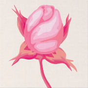 Mini-Peinture par numéros Bouton de Rose Tableau 20x20 cm Figure d'Art