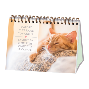 Livre cadeau 52 messages Chats Petits Félins Livre Chevalet 16 x 13 cm Art Grafik