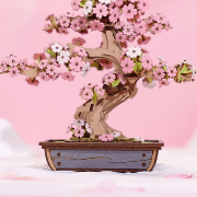 Maquette Bois Bonsaï en Pot Sakura Fleurs Roses Puzzle 3D de 263 pièces TG415 Rolife