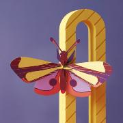 Papillon décoratif en carton Jaune et Marron 35 cm à construire Studioroof