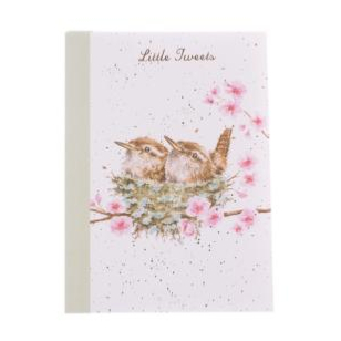 Carnet Notebook Nid d'oiseaux 10x15cm 48 pages ligné Wrendale