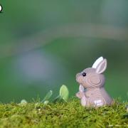 Mini-maquette Eugy Kangourou  7.4 cm en Carton 3D