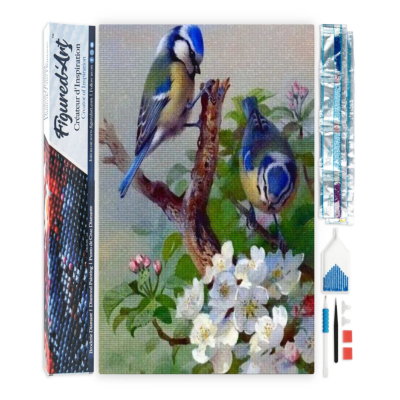 Broderie Diamant Oiseaux Mésanges sur Branche fleurie Toile complète roulée 40x50 Diamants carrés Figure d'Art