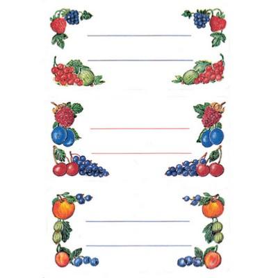 Etiquettes autocollantes Fruits 76x35mm Lot de 12 Herma