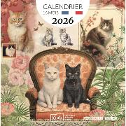 Calendrier mural 2026 Chats 12 illustrations Gwenaëlle Trolez 16 mois 30X30 cm Kiub