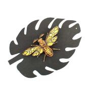 Kit Insecte à fabriquer en Carton Papillon Noctambulus 8x15x4cm Agent Paper