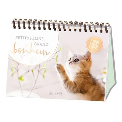 Livre cadeau 52 messages Chats Petits Félins Livre Chevalet 16 x 13 cm Art Grafik