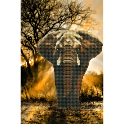 Kit Peinture Diamant Eléphant Toile 30x45 cm Diamond Painting Picmondoo