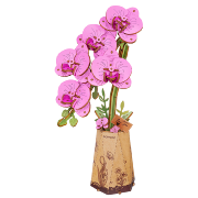 Maquette Bois Pot de Fleurs Orchidée papillon Rose Puzzle 3D de 132 pièces TW091 Rolife