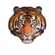 Puzzle en Forme Tête de Tigre 550 pièces 71x68 cm I AM Madd Capp