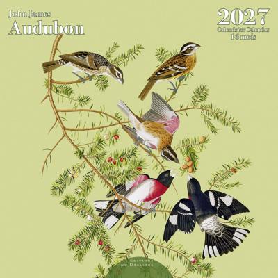 Calendrier mural 2027 Audubon 12 illustrations 16 mois 30X30 cm Ed Desastre
