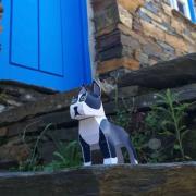 Paper Toys 4 Chiens à fabriquer 10 à 20 cm Jouets en papier Pukaca