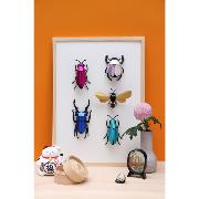 Kit de fabrication 1 Insecte Scarabée Bleu 14 cm Stag Beetle Assembli