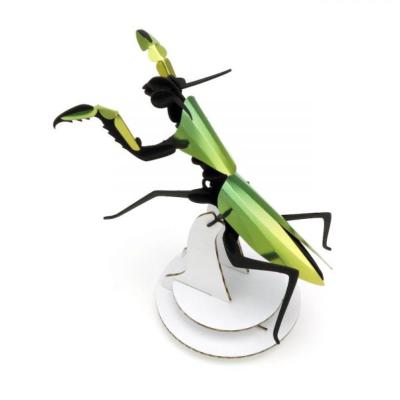 Kit de fabrication 1 Mante religieuse Verte 12 cm Praying Mantis Assembli