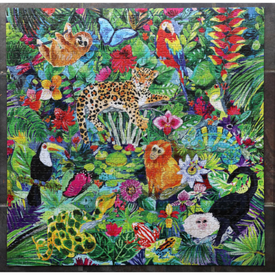 Puzzle 1000 pièces Forêt amazonienne Amazon rainforest 58.5x58.5cm Eeboo