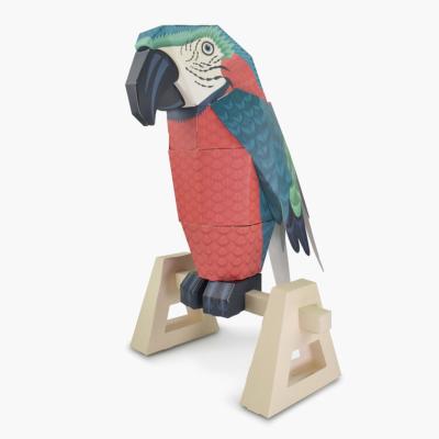 Kit Maquette Oiseau Perroquet à Construire