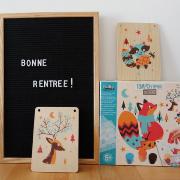 Coffret Tampographie sur bois 3 Tableaux Animaux de la forêt 5 ans Crealign