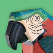 Kit Maquette Oiseau Perroquet à Construire