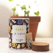 Kit à semer Papa Je t'aime Graines de Fleurs Terre Pot Mauvaises Graines