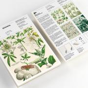Bloc de Papier Décoré A5 Botanique 64 feuilles 15x21cm Pepin Press