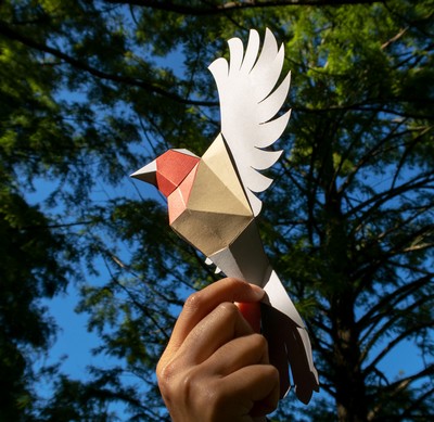[Pliage] Tuto Oiseaux Géométriques en Papier à Construire | Agent Paper