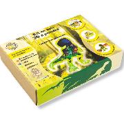 Kit créatif en Bois à peindre Dinosaure T-Rex Creatif Wood