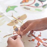 Poster Géant Découverte Les Insectes 44 Stickers 6 à 12 ans Poppik