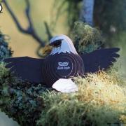 Mini-maquette Eugy Aigle 12cm à construire en Carton 3D