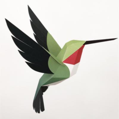 Kit de pliage Prédécoupé Colibri à queue large 23 cm Oiseau en Papier 3D Plego