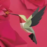 Kit de pliage Prédécoupé Colibri à queue large 23 cm Oiseau en Papier 3D Plego