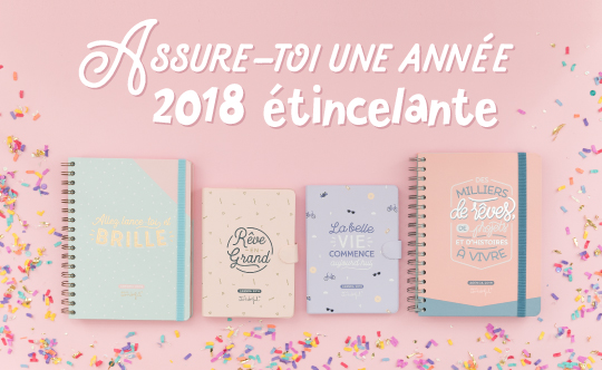 Agendas 2018 Mr Wonderful  L'Atelier Chez Soi