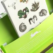 Set de Papier à Lettres Histoire Naturelle 40 feuil 40 env et 50 stickers Pepin Press