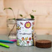 Kit à semer Merci Maîtresse Graines de Fleurs Terre Pot Mauvaises Graines