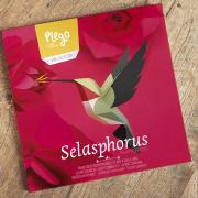 Kit de pliage Prédécoupé Colibri à queue large 23 cm Oiseau en Papier 3D Plego