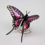 Kit de fabrication 1 Papillon Violet Noir 18 cm Swordtail Butterfly Assembli