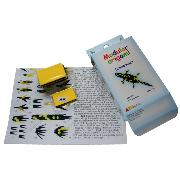 Kit pliage Origami 3D Salamandre 22x10 cm 179 modules Modular Origami ATH Press