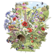Carte 3D Fleurs des Champs 16x16 Décor en relief avec enveloppe