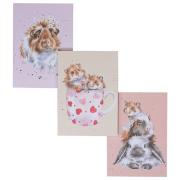 Coffret 3 Carnets Lapin Hamster A6 assortis Wrendale